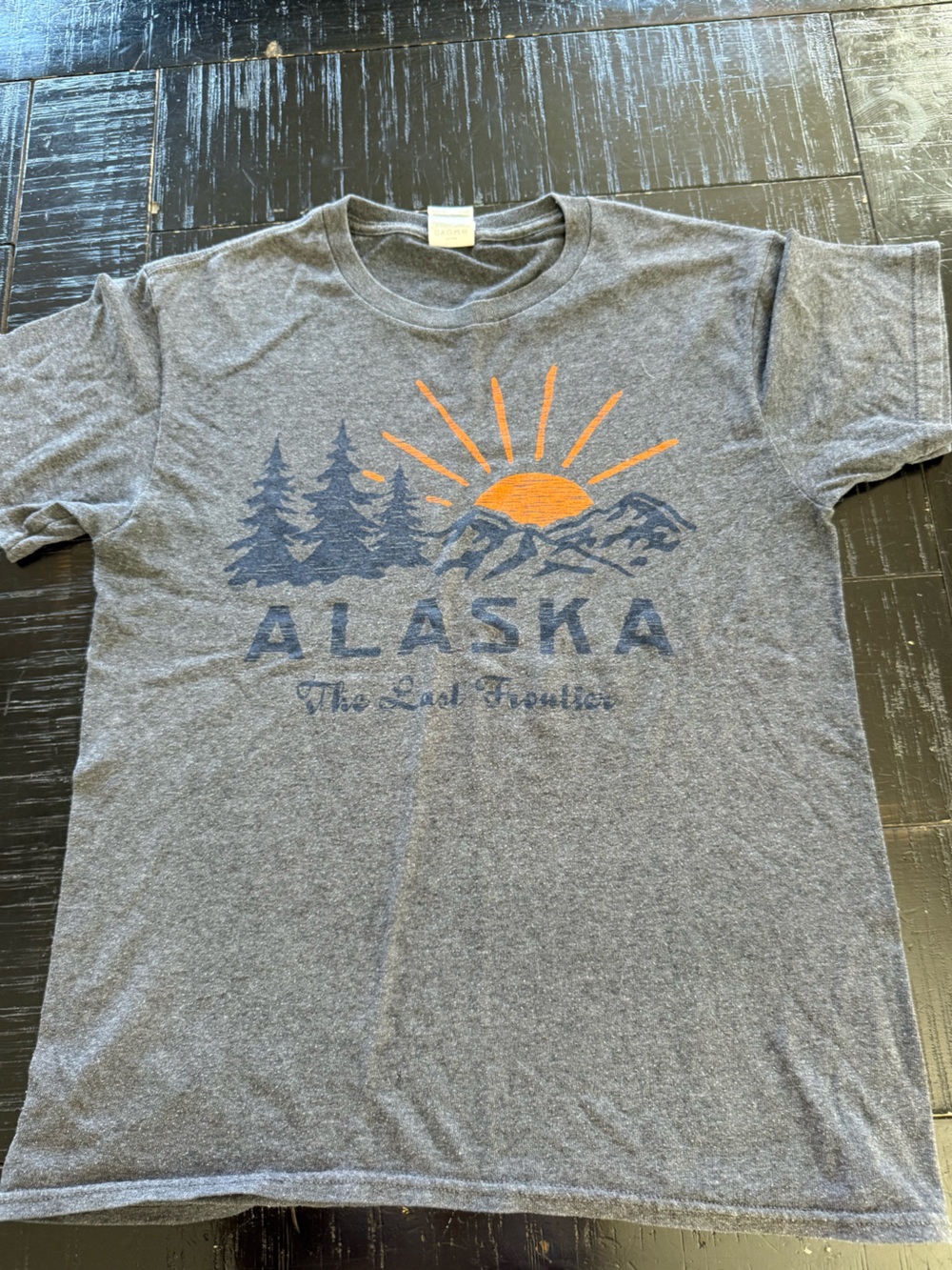 Alaska Graphic tee “the last frontier” size small in gray